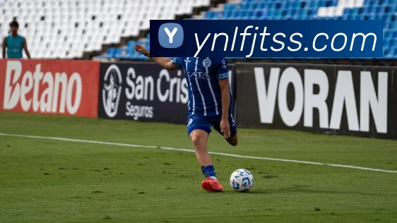 App Interface Preview